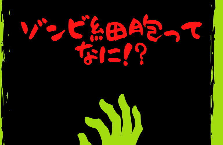 お肌にゾンビ細胞！？お肌の老化に関わるゾンビ細胞とは？｜広島県で肌悩みを解消するサロン｜