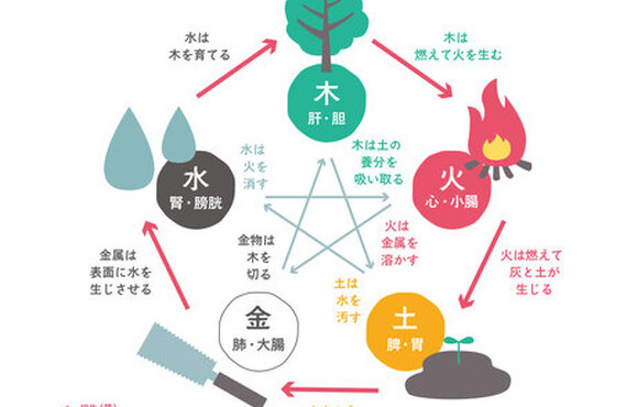 算命学の基礎となる考え方Vol.4「五行」｜算命学鑑定のMyWay｜
